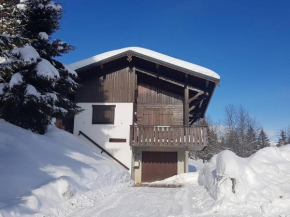 Chalet individuel aux Gets - 8 pers, navette hiver, garage, grand balcon sud - FR-1-802-83 Les Gets